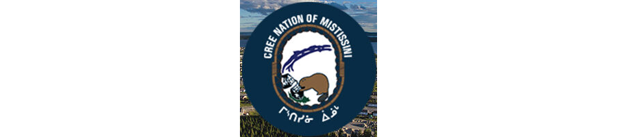 Law 13 Amendment of COVID-19 Measures